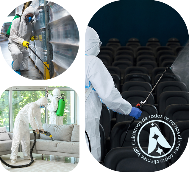 controle de pragas rio de janeiro